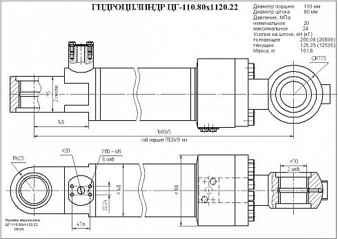 Гидроцилиндр ЦГ-110.80х1120.22