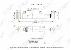 ГИДРОЦИЛИНДР РАБОЧЕГО ОРГАНА ЦГ-50.30Х205.22-01