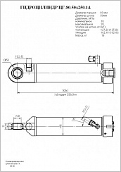 Гидроцилиндр ЦГ-80.50х250.14