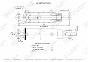 ГИДРОЦИЛИНДР РАБОЧЕГО ОРГАНА ЦГ-100.40Х250.01-03 (С РЕГУЛИРОВКОЙ ХОДА)