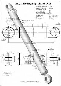 ГИДРОЦИЛИНДР КОВША ЦГ-110.70Х900.11