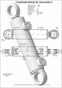 Гидроцилиндр ЦГ-100.63х280.11