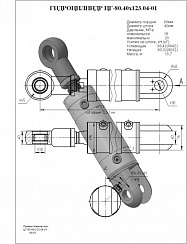Гидроцилиндр ЦГ-80.40х123.04-01