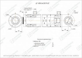 ГИДРОЦИЛИНДР РАБОЧЕГО ОРГАНА ЦГ-100.63Х250.11-02