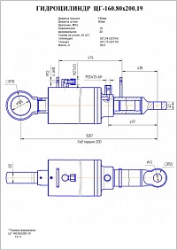 Гидроцилиндр ЦГ-160.80х250.17