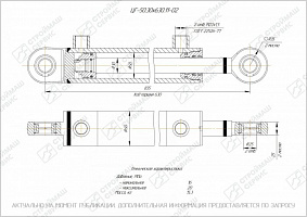 ГИДРОЦИЛИНДР РАБОЧЕГО ОРГАНА ЦГ-50.30Х630.11-02