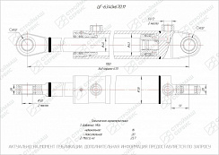 ГИДРОЦИЛИНДР РАБОЧЕГО ОРГАНА ЦГ-63.40Х670.11