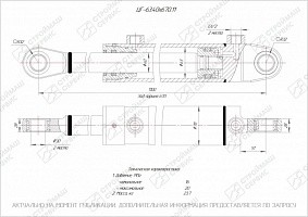 ГИДРОЦИЛИНДР РАБОЧЕГО ОРГАНА ЦГ-63.40Х670.11