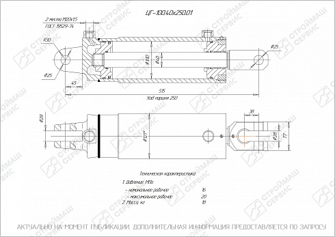 ГИДРОЦИЛИНДР РАБОЧЕГО ОРГАНА ЦГ-100.40Х250.01