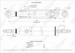 ГИДРОЦИЛИНДР РАБОЧЕГО ОРГАНА ЦГ-63.40Х750.11