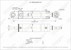 ГИДРОЦИЛИНДР РАБОЧЕГО ОРГАНА ЦГ-100.50Х200.22-01