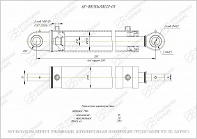 ГИДРОЦИЛИНДР РАБОЧЕГО ОРГАНА ЦГ-100.50Х200.22-01