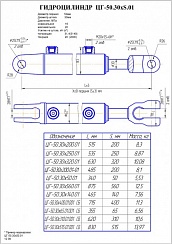 ГИДРОЦИЛИНДР РАБОЧЕГО ОРГАНА ЦГ-50.30Х250.01