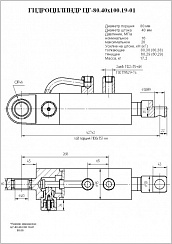 Гидроцилиндр ЦГ-80.40х100.19-01
