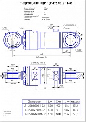 Гидроцилиндр ЦГ-125.80х900.11-02