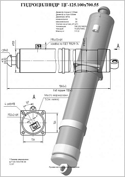 Гидроцилиндр ЦГ-125.100х700.55