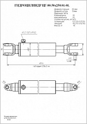 Гидроцилиндр ЦГ-80.50х250.01-01