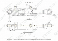 ГИДРОЦИЛИНДР РАБОЧЕГО ОРГАНА ЦГ-63.35Х200.11