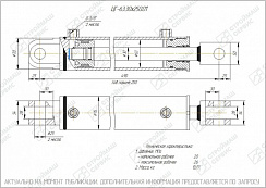 ГИДРОЦИЛИНДР РАБОЧЕГО ОРГАНА ЦГ-63.30Х250.01
