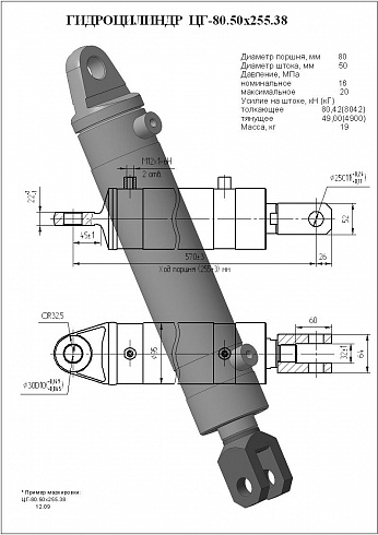 Гидроцилиндр ЦГ-80.50х255.38