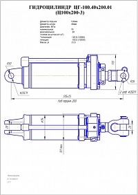 Гидроцилиндр Ц- 100.50х160.17