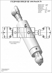 Гидроцилиндр ЦГ-100.50х630.70