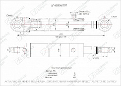 ГИДРОЦИЛИНДР РАБОЧЕГО ОРГАНА ЦГ-80.50Х675.11