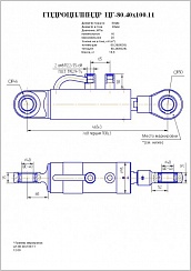 Гидроцилиндр ЦГ-80.40х100.11