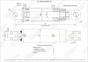 ГИДРОЦИЛИНДР РАБОЧЕГО ОРГАНА ЦГ-100.50Х200.01-02