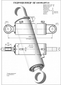ГИДРОЦИЛИНДР ПОДЪЕМА РЫХЛИТЕЛЯ ЦГ-160.80Х435.11 (50-50-225СП)