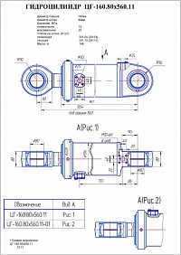 Гидроцилиндр ЦГ-160.80х560.11