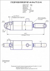 ГИДРОЦИЛИНДР ПОВОРОТА МАНИПУЛЯТОРА, КРЫШКИ ЛЮКА, КРЫШКИ ЦИСТЕРНЫ ЦГ-60.30Х175.22-01 (КО-510.01.09.000)