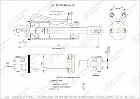 ГИДРОЦИЛИНДР РАБОЧЕГО ОРГАНА ЦГ-100.40Х400.01-02