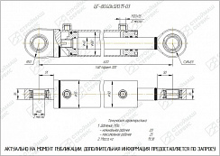 ГИДРОЦИЛИНДР РАБОЧЕГО ОРГАНА ЦГ-80.40Х320.11-03