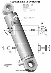 Гидроцилиндр ЦГ-100.63х320.12
