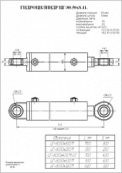 Гидроцилиндр ЦГ-80.50х250.11