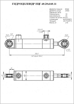 Гидроцилиндр ЕЦГ-40.20х160.11