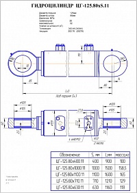ГИДРОЦИЛИНДР РУКОЯТИ, СТРЕЛЫ, КОВША ЦГ-125.80Х1100.11