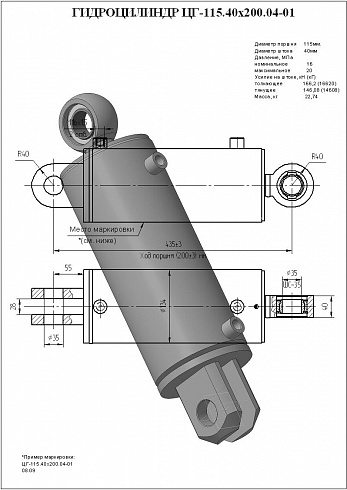 Гидроцилиндр ЦГ-115.40х200.04-01