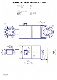 Гидроцилиндр ЦГ-160.80х450.11