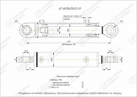 ГИДРОЦИЛИНДР РАБОЧЕГО ОРГАНА ЦГ-80.50Х250.22-01