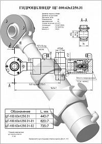 Гидроцилиндр ЦГ-100.63х1250.31