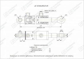 ГИДРОЦИЛИНДР РАБОЧЕГО ОРГАНА ЦГ-50.30Х200.22-05