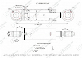 ГИДРОЦИЛИНДР РАБОЧЕГО ОРГАНА ЦГ-100.50Х200.11-02