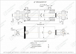ГИДРОЦИЛИНДР РАБОЧЕГО ОРГАНА ЦГ-100.40Х610.01-01