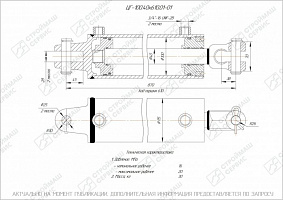 ГИДРОЦИЛИНДР РАБОЧЕГО ОРГАНА ЦГ-100.40Х610.01-01