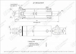 ГИДРОЦИЛИНДР РАБОЧЕГО ОРГАНА ЦГ-100.40Х250.01