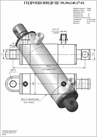 ГИДРОЦИЛИНДР ЗАЖИМА КОНТЕЙНЕРА (ЗАХВАТА) ЦГ-50.30Х140.17-01 (50Х30Х80)