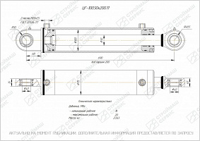 ГИДРОЦИЛИНДР РАБОЧЕГО ОРГАНА ЦГ-100.50Х200.11