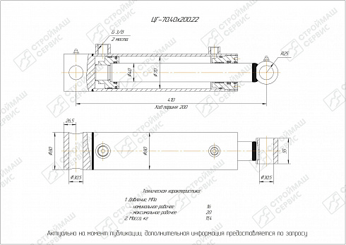 ГИДРОЦИЛИНДР РАБОЧЕГО ОРГАНА ЦГ-70.40Х200.22